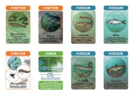Le jeu de cartes