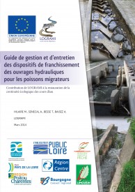 Guide de gestion et d’entretien des dispositifs de franchissement des ouvrages hydrauliques pour les poissons migrateurs